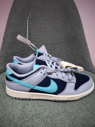 ✅ Nike Dunk Low Retro PRM