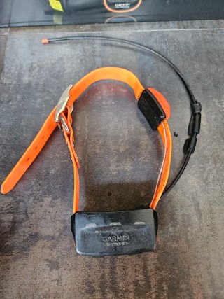 Garmin Alpha 100/T5 GPS Perro