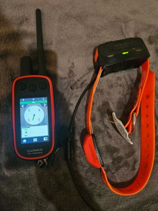 Garmin Alpha 100/T5 GPS Perro