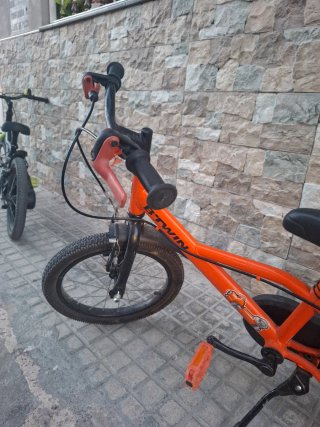 Bicicleta Naranja Infantil