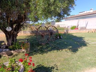 Ruedas de carro antiguas para jardín