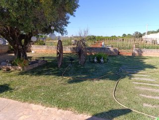Ruedas de carro antiguas para jardín
