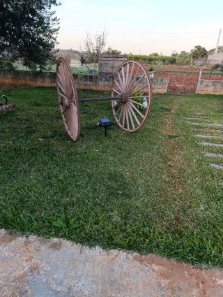 Ruedas de carro antiguas para jardín