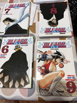 Bleach Manga