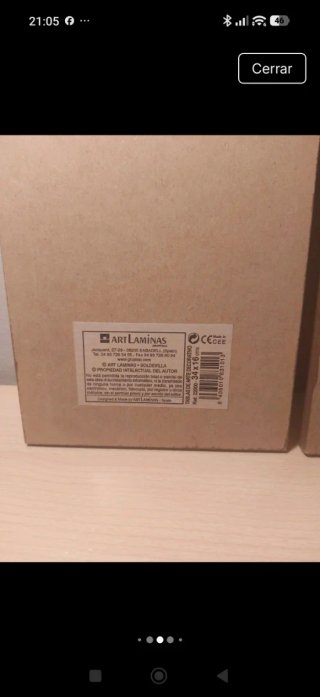 Coppia di quadri floreali in legno