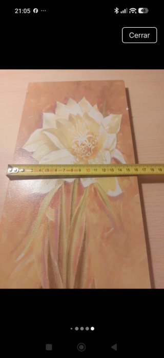 Coppia di quadri floreali in legno