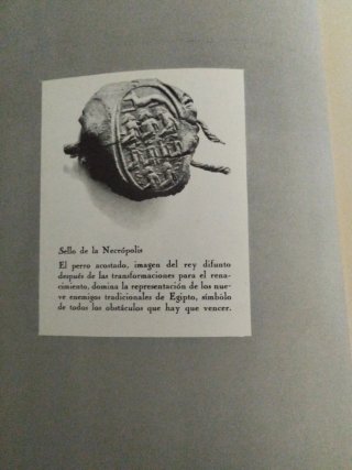 Libro Tutankhamen, vida y muerte de un faraón