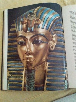 Libro Tutankhamen, vida y muerte de un faraón