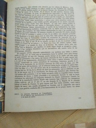 Libro Tutankhamen, vida y muerte de un faraón