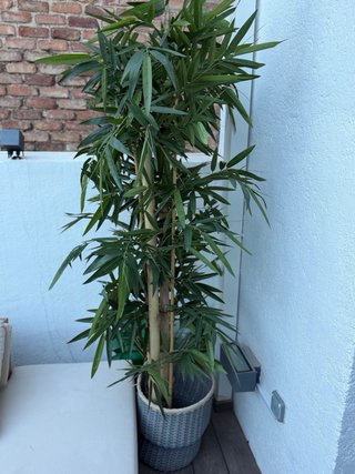 Planta artificial bambú decorativa