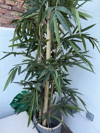 Planta artificial bambú decorativa