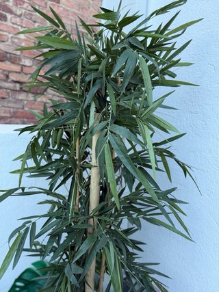 Planta artificial bambú decorativa