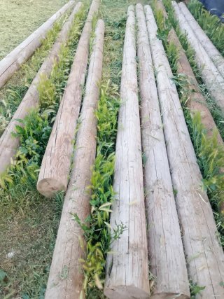 Postes de madera 5 metros