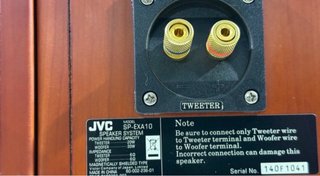 JVC SP-EXA10 Wood Cone Exclusivos