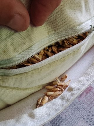 Cuscino bio x allattamento e riduttore lettino