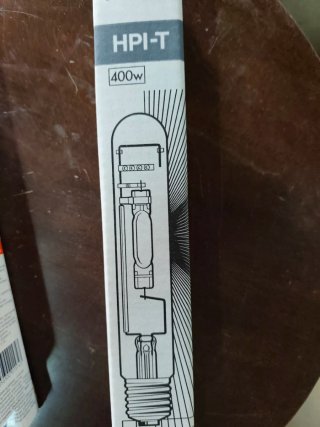10 Lampade 250 W 2 lampade 100 W