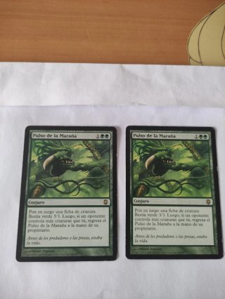 Mtg Pulso de la Maraña x2