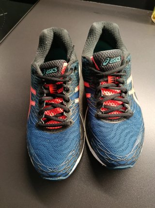 Zapatillas Asics Gel Nimbus 18