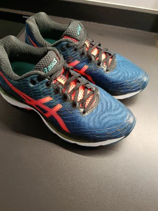 Zapatillas Asics Gel Nimbus 18