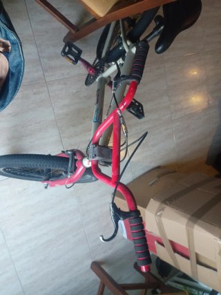 Bicicleta GT