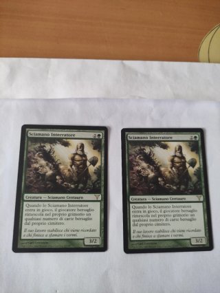 Mtg Chamán barroso x2
