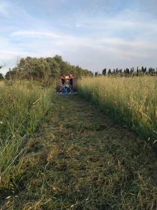 Desbrozadora 1.50mts nueva