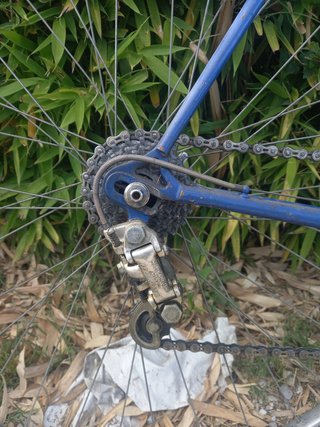 Bici da corsa Colnago