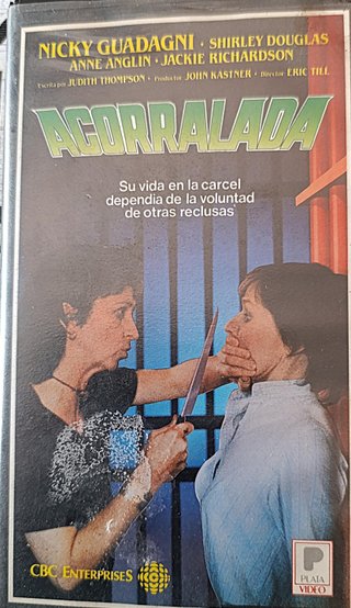 LOTE VARIADO CINE VHS