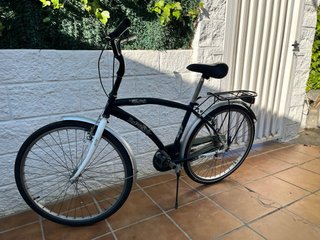 Bicicleta cómoda para adulto