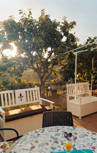 Alquiler de terreno con barbacoa y piscina