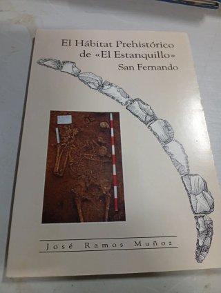 LIBRO de san Fernando