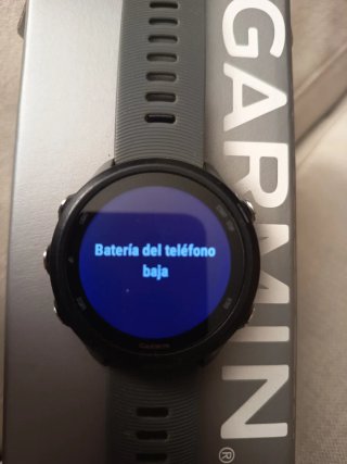 Garmin Forerunner 245 Negro/Gris