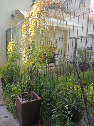 Catio de vallas Hércules rígidas