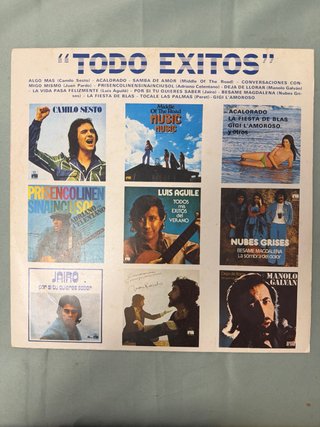 Vinilo Todo Éxitos Compilatorio