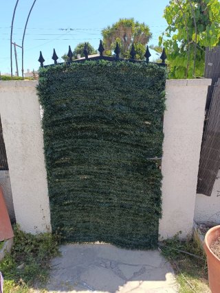 Puerta de hierro forjado