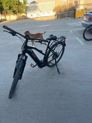 Bicicleta Eléctrica Liv Amiti E+ Negra