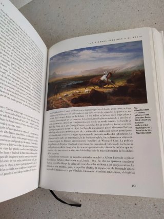 Visiones de América. La historia épica del arte ..