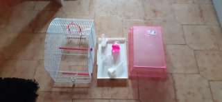 Gabbia Asso di Picche bianca e rosa