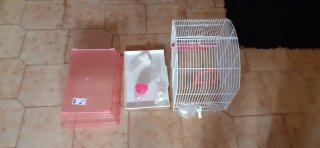 Gabbia Asso di Picche bianca e rosa
