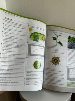 Biología y geología, ciencias, Bachillerato 1