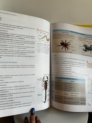 Biología y geología, ciencias, Bachillerato 1