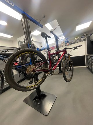 S-Works Epic Talla L + Horquilla Fox 34