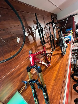 S-Works Epic Talla L + Horquilla Fox 34