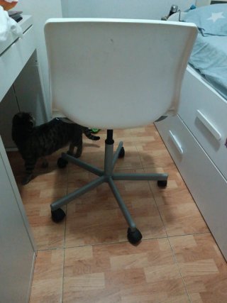 Silla de escritorio infantil blanca