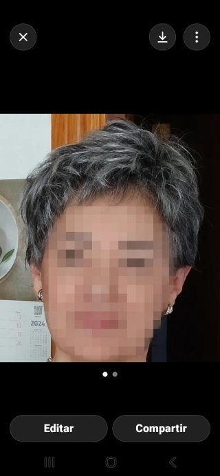 Peluca femenina gris nueva
