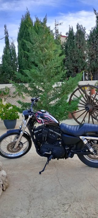Exclusiva Harley Davidson Sportster R