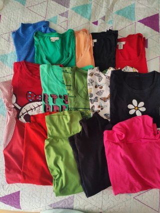 Pack 15 Camisetas Talla M