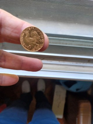 Moneta d'oro 20 Franchi 1904