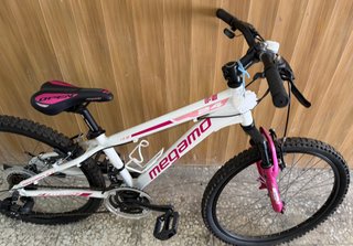 Bicicleta de Montaña