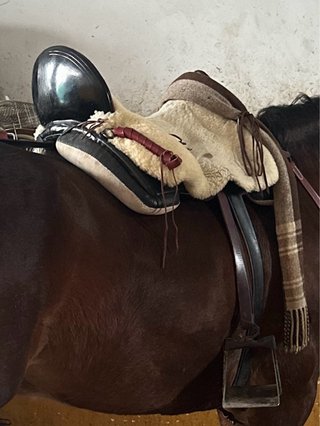 Montura Vaquera Completa